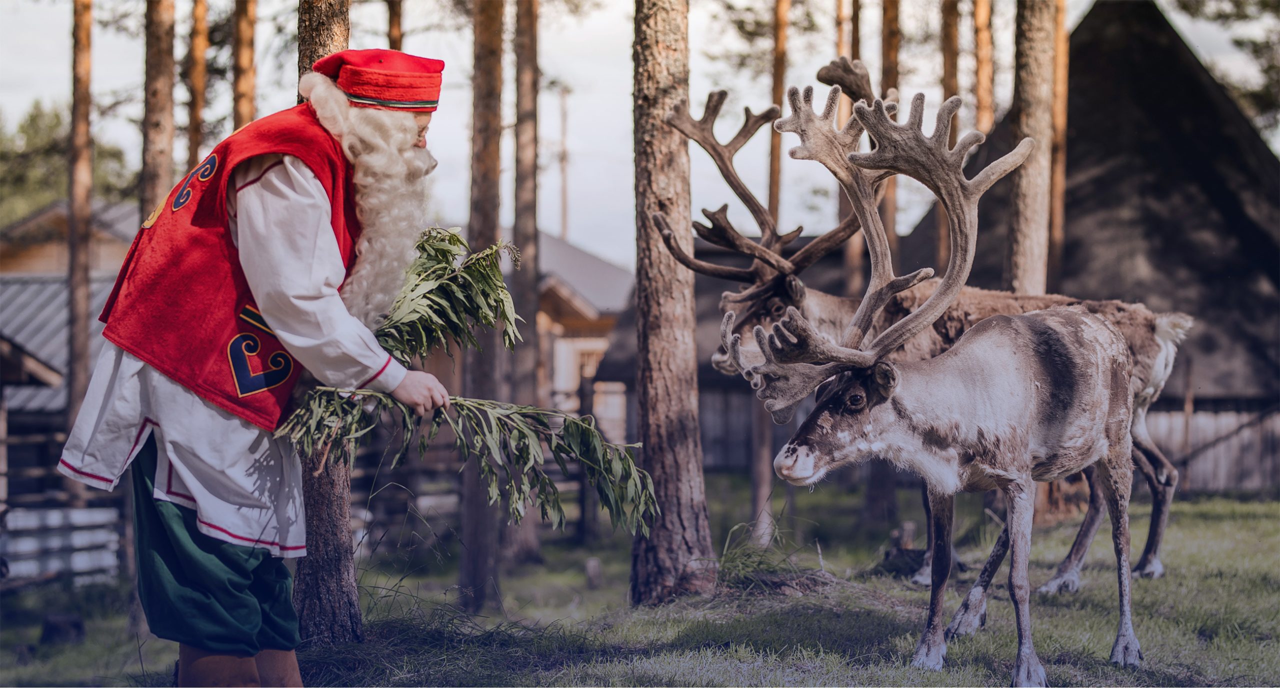 Trip To Arctic Circle, Santa Claus Village And Santas Reindeer