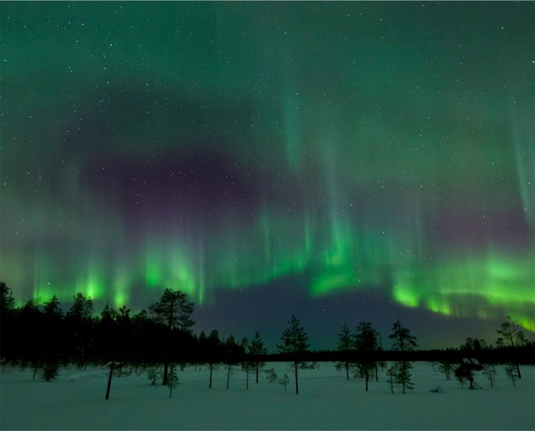 Cordelia ledsage Ti See the Northern Lights at the Santa Claus Village, Rovaniemi
